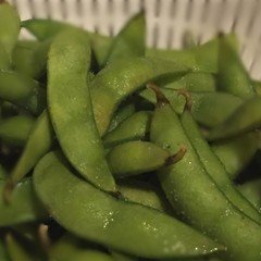 メンヘラは、猫がすき？｜新方ヒトミ｜note