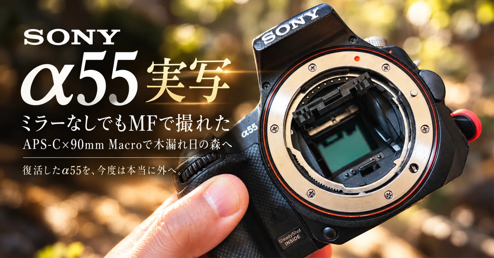 SONY α55実写｜トランスルーセントミラーなしでもMFで撮れた。APS-C