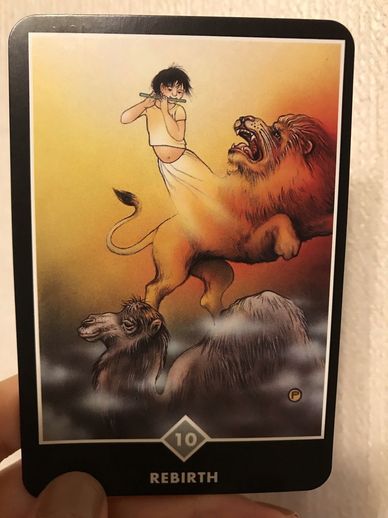 久しぶりのOSHO。｜michan