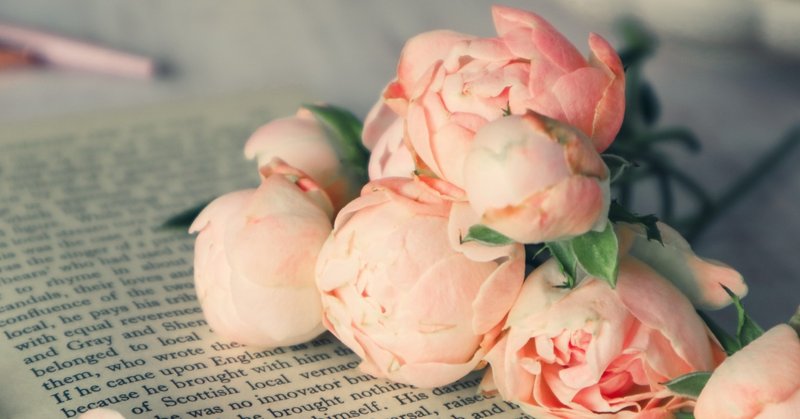 いつも一緒にいたい彼女とたまにしか会いたくない彼氏 後編 カウンセラー佐藤愛 明日 心が晴れますように Note