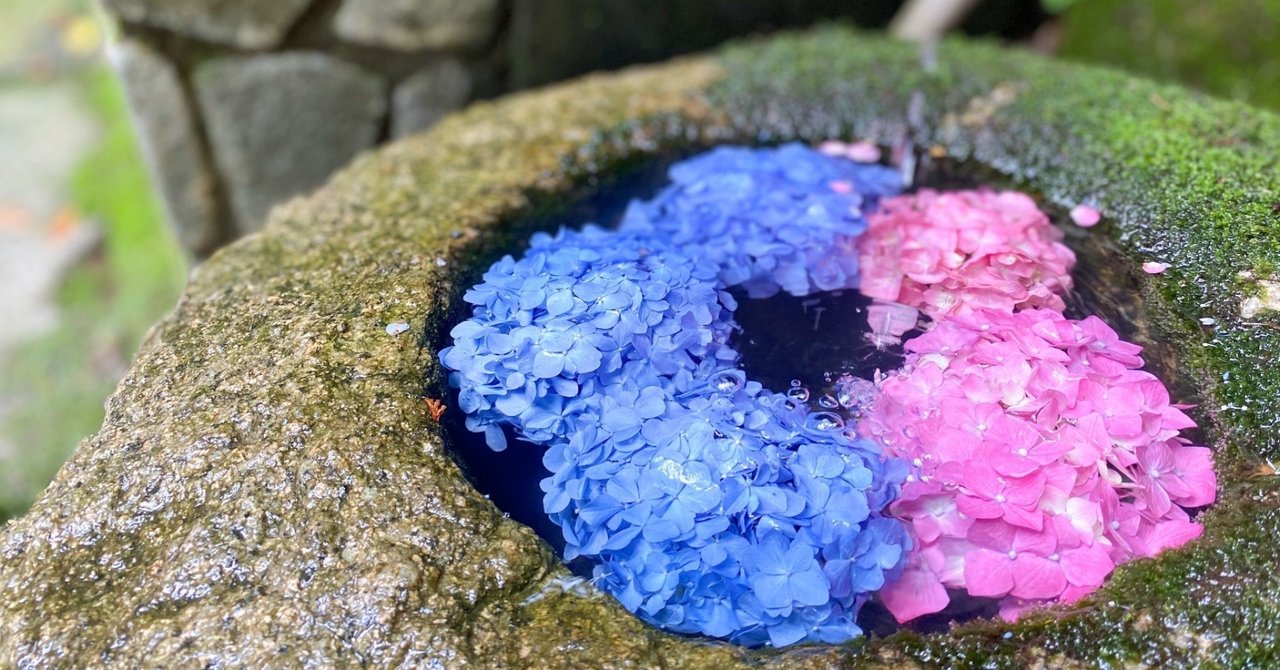 久しぶりのOSHO。｜michan