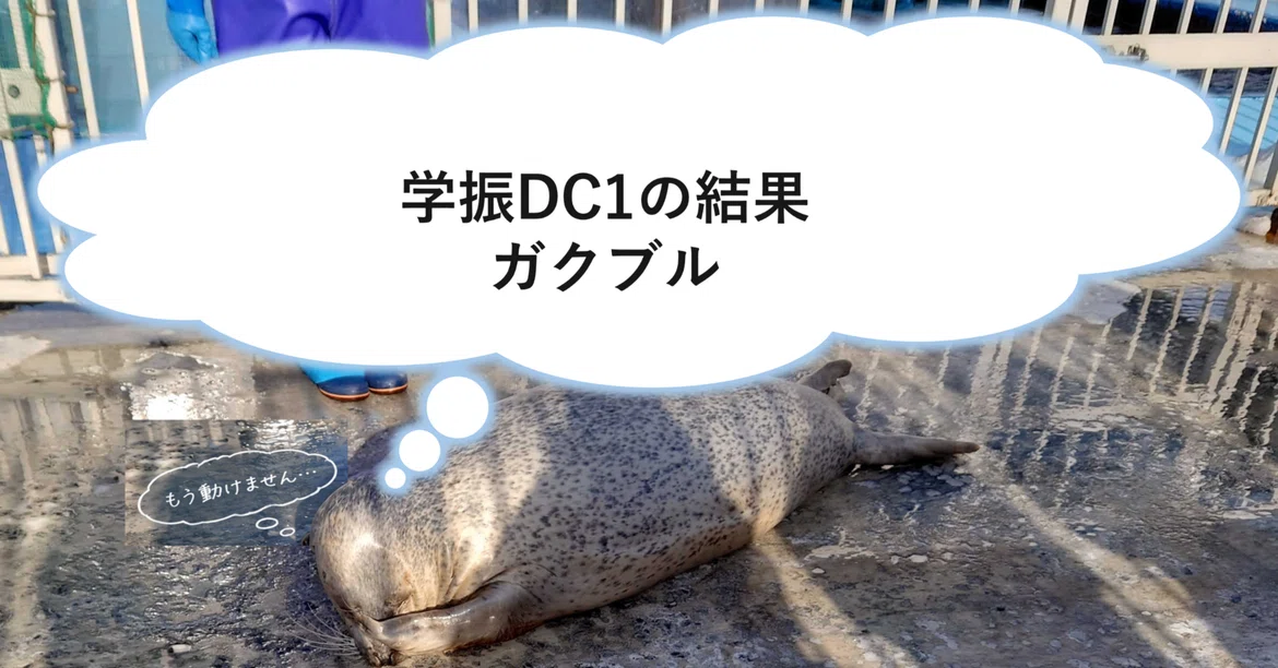 [Engineering/Civil Engineering] JSPS DC1 Results, I was shaking｜零