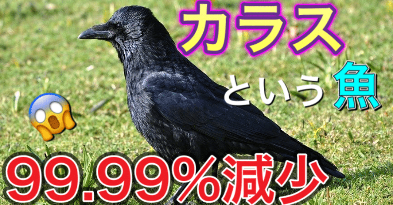 カラス という名の魚 釣り 山阿呆の大学生 Note カラス という名の魚 釣り 山阿呆の大学生 Note