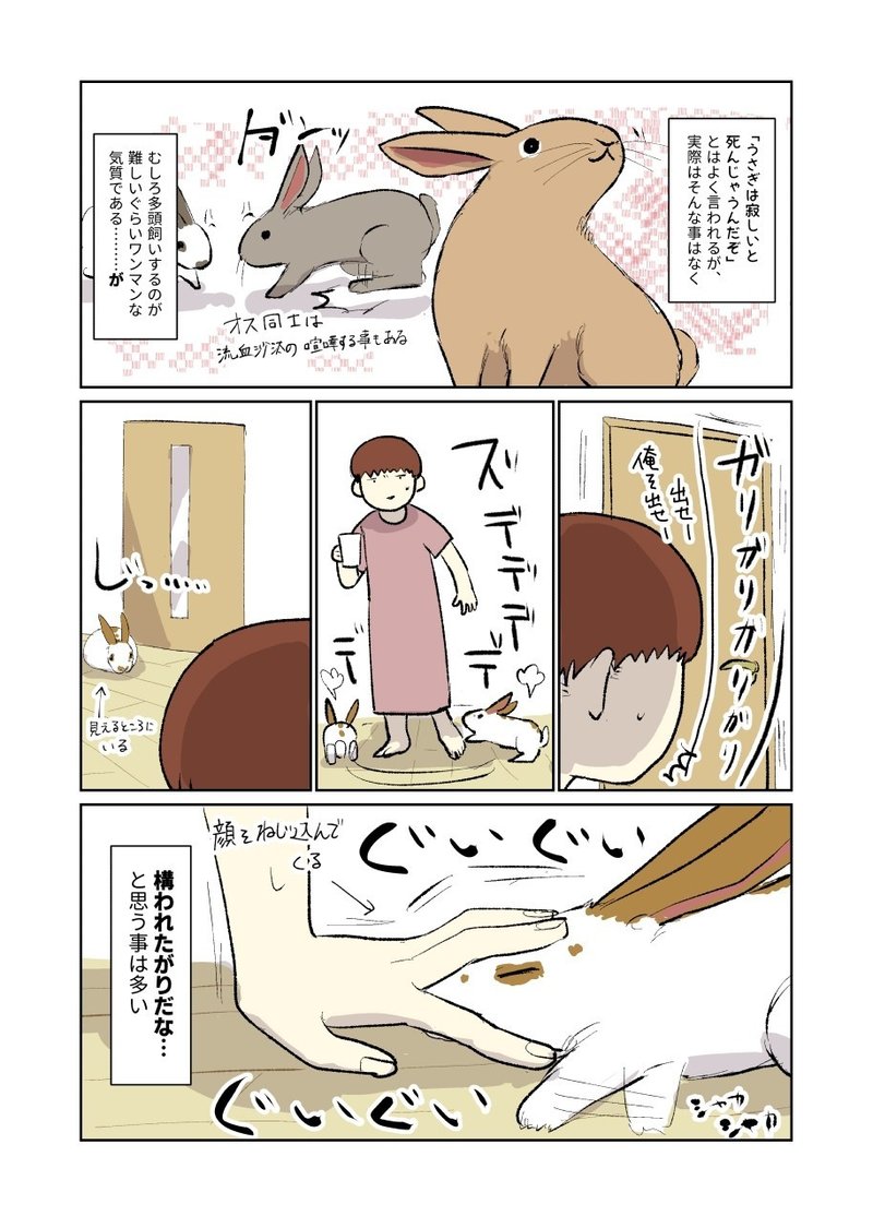 うさぎは寂しくても死なないけど 観葉植物 Note