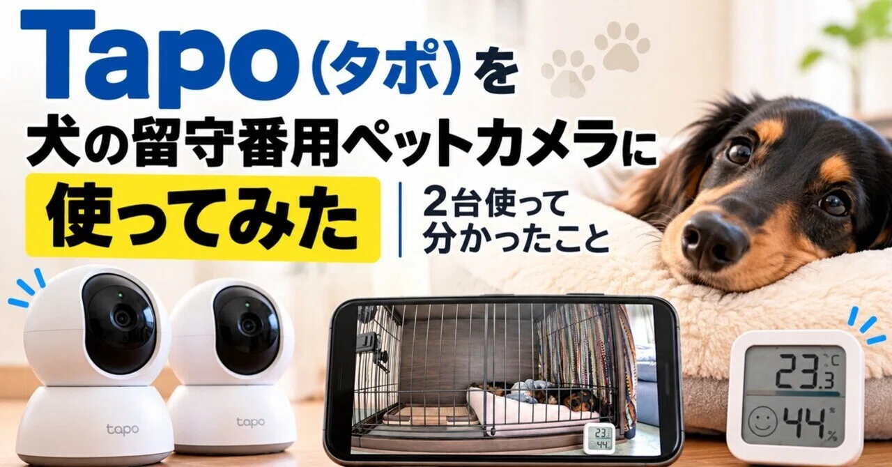 I tried using Tapo as a pet camera for my dog while I'm away | What I ...