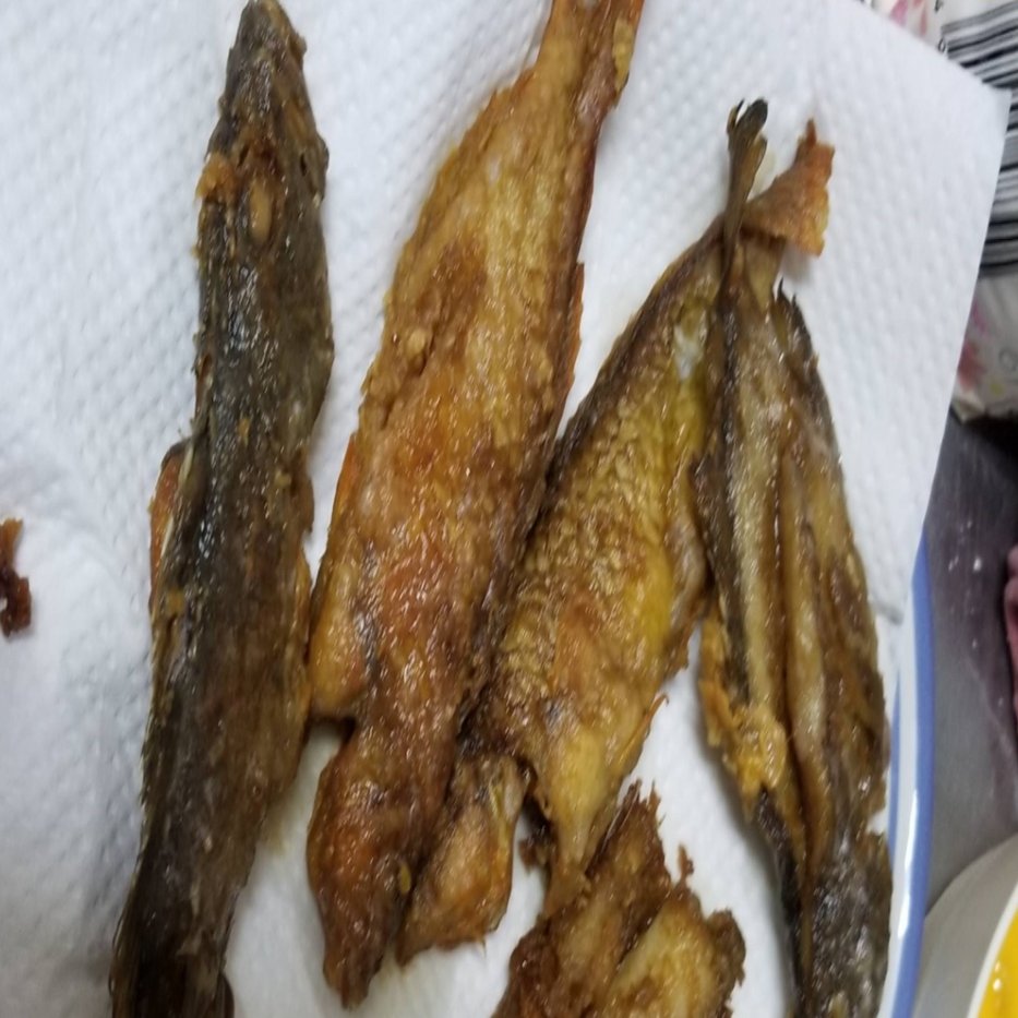 釣った魚で家族の晩ごはん ベラとサバとガシラの丸揚げ Amパパ 父親業 兼業公務員 Note