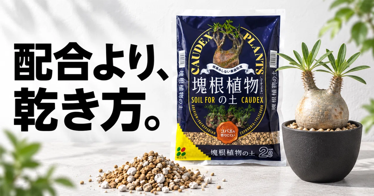 Soil for Caudex and Agave: Choosing Hard Akadama and Hyuga Soil Based ...