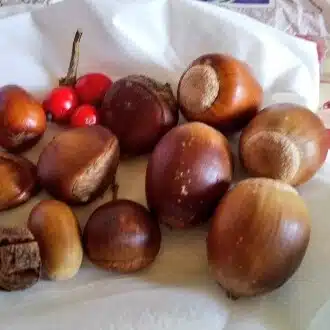 🍄ともとも🍄