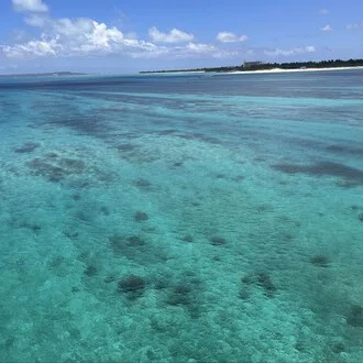 直美🌺Okinawa
