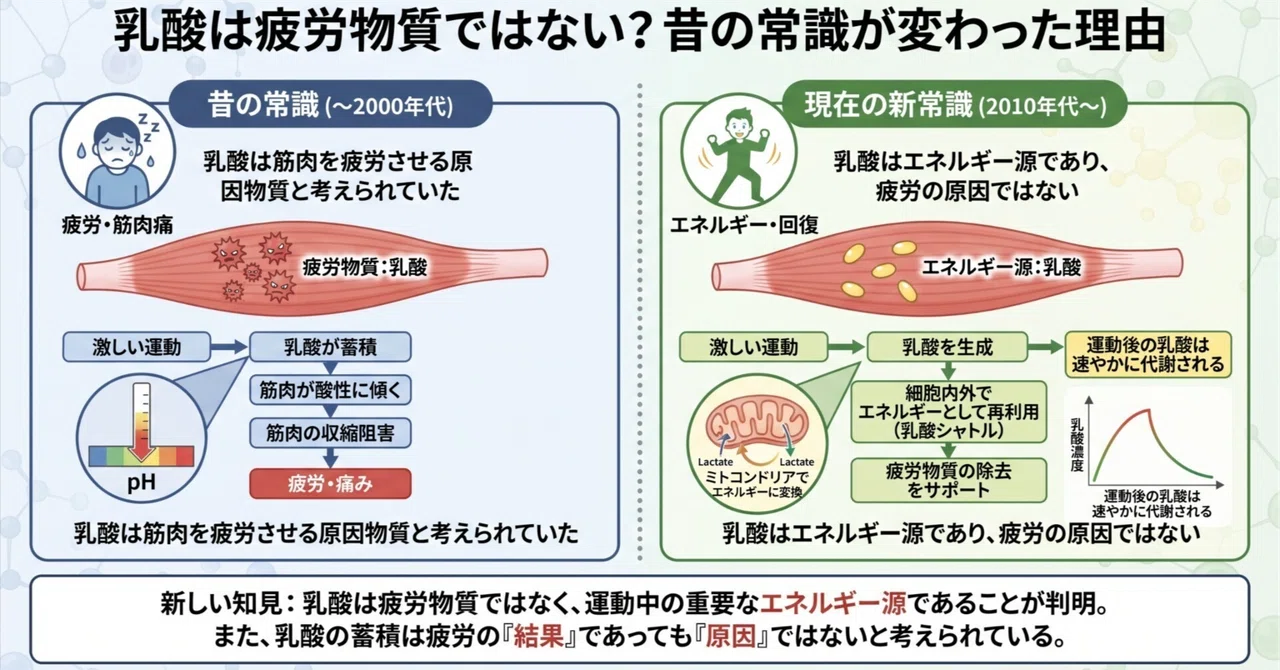 Compact Gas Cell The Truth About the Diligent 'Rescue Fuel' That Rushes In When Cells ...