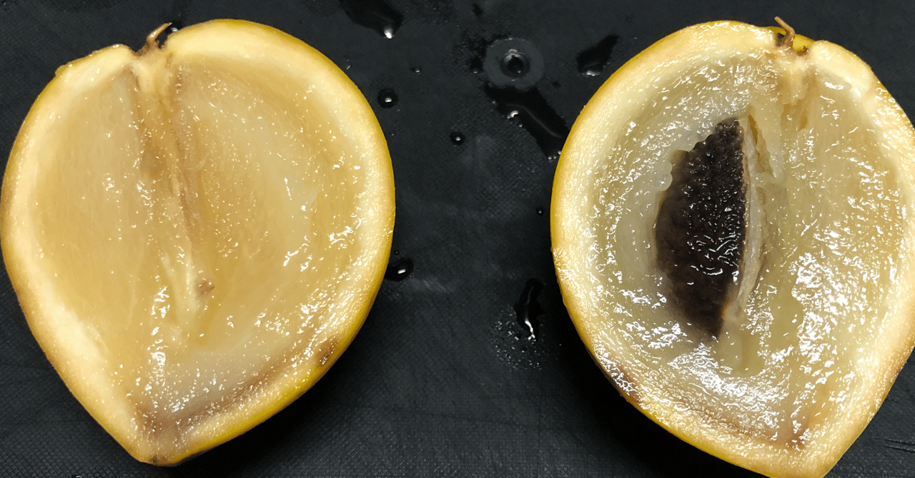 柿みたいな南国フルーツ アビウ はたんきょー Note 柿みたいな南国フルーツ アビウ はたんきょー Note