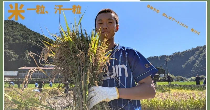 【龍神分校】田んぼアート、実りの秋を迎えました。