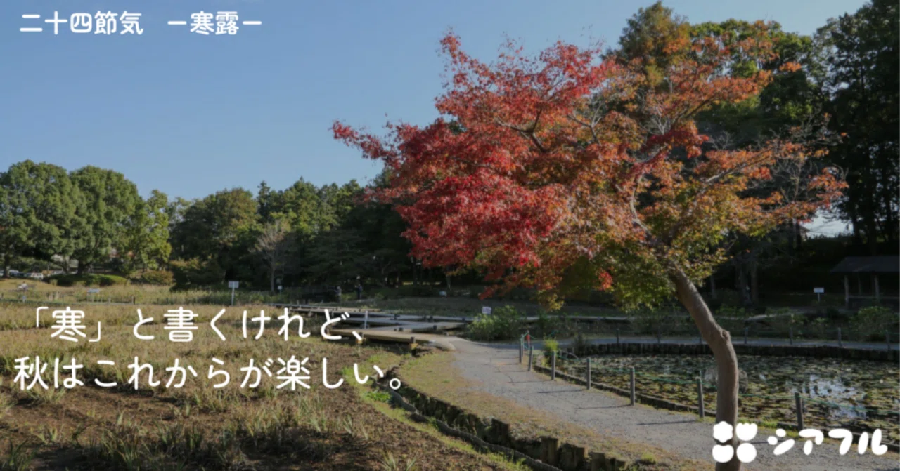 The 24 Solar Terms: Cold Dew | Learning Wellbeing at a Relaxed Pace｜ウェル ...