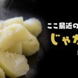 ジャガイモに毛が生えた 石山はじめのnote Note