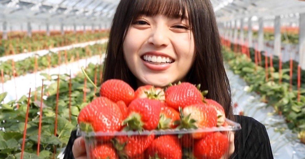 乃木坂46 齋藤飛鳥 生写真 フルーツモチーフ コンプ 変化と普遍化〜齋藤飛鳥生誕祭に寄せて〜｜四季折々
