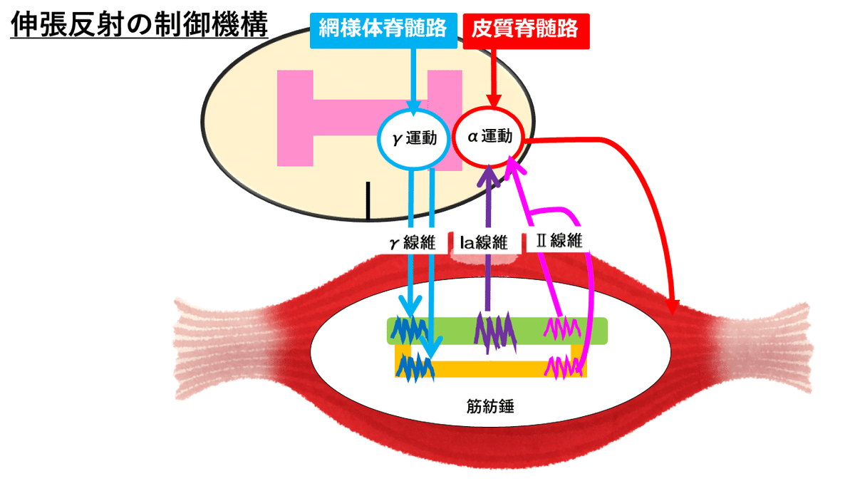 スライド2