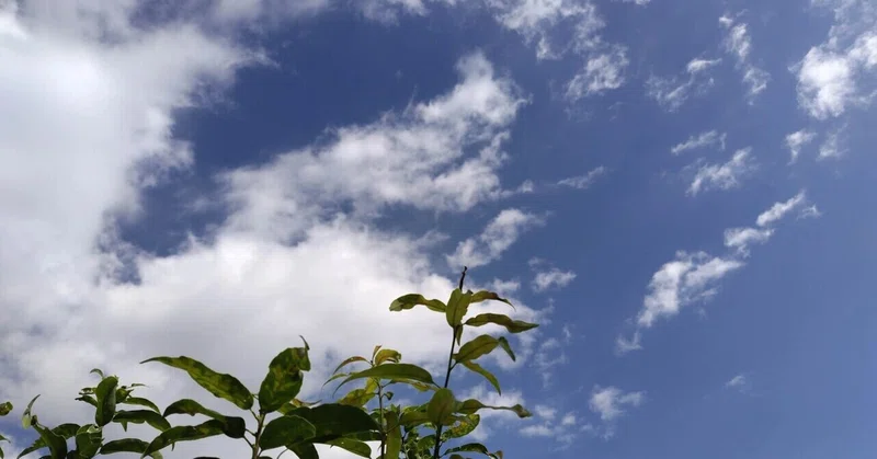 10月