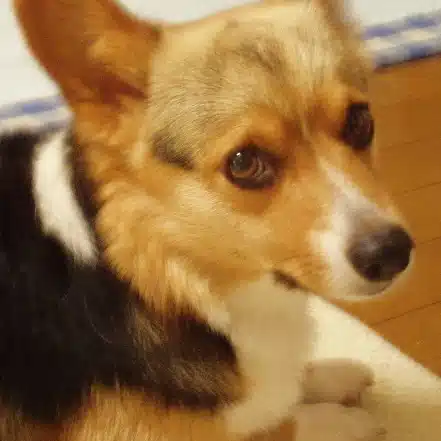 渡邉 清文