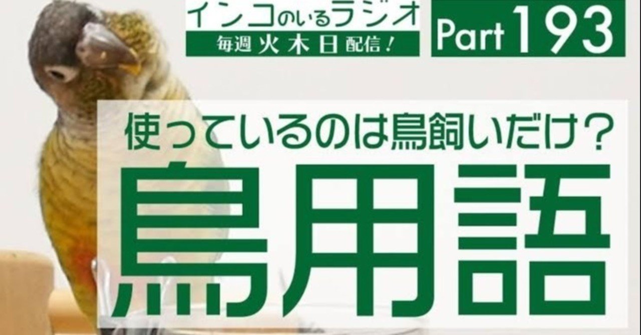 第1181回 難しい鳥用語 ⑵｜翆野 大地 