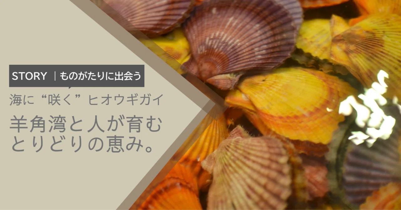 Flowers blooming in the sea. The colorful bounty nurtured by Yokaku Bay ...