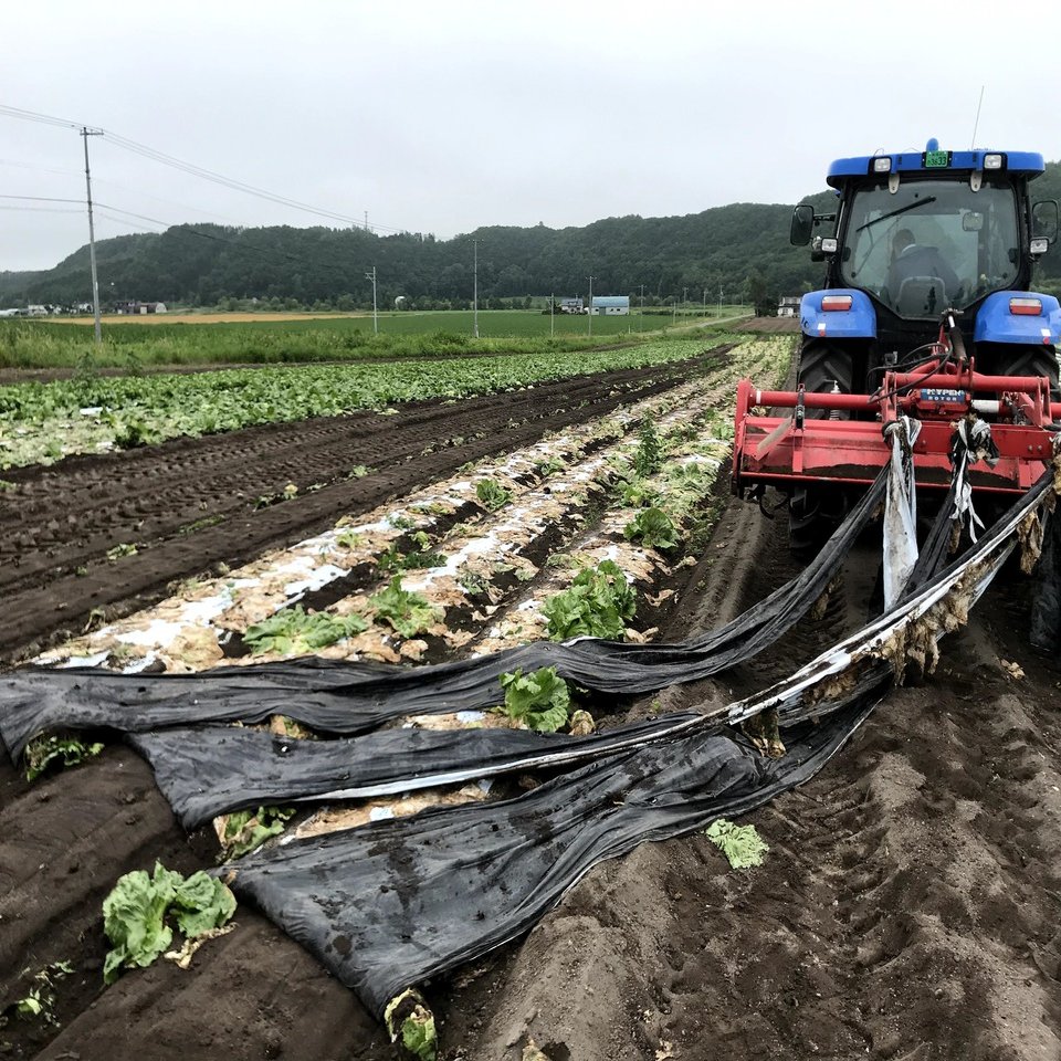 マルチ剥がしに革命が起きた一日 吉田拓実 さいこうファーム Okhotsk Bihoro Note
