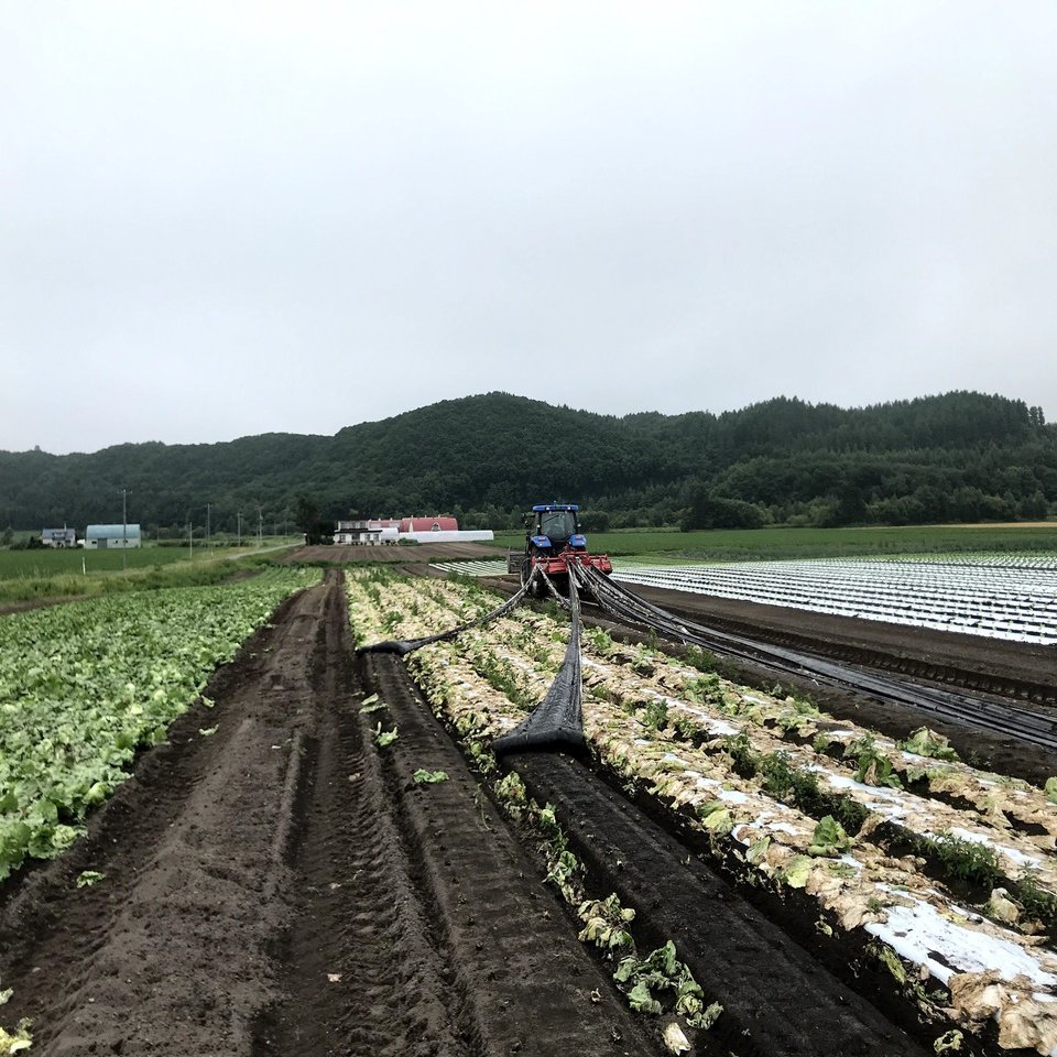 マルチ剥がしに革命が起きた一日 吉田拓実 さいこうファーム Okhotsk Bihoro Note