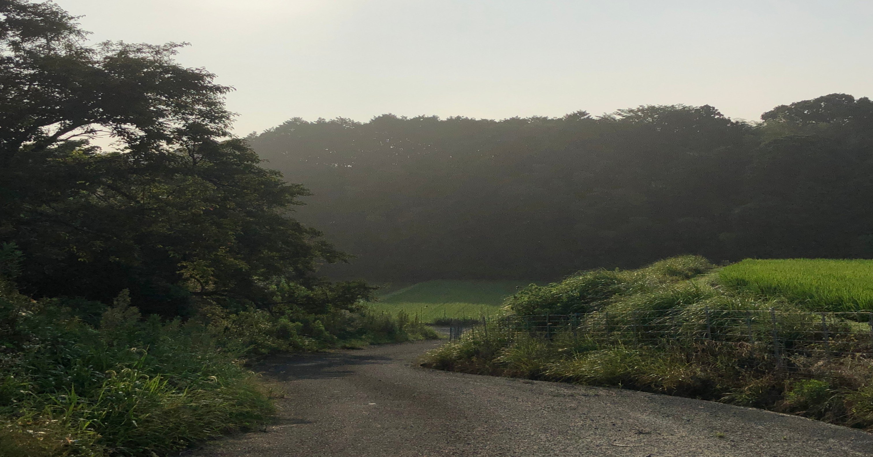 歴史を風化させないように Yasuhide Ono うつしき Note