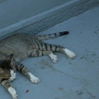 意外と知られていないおすすめカバー曲10選 Part 1 Taka S Note Note