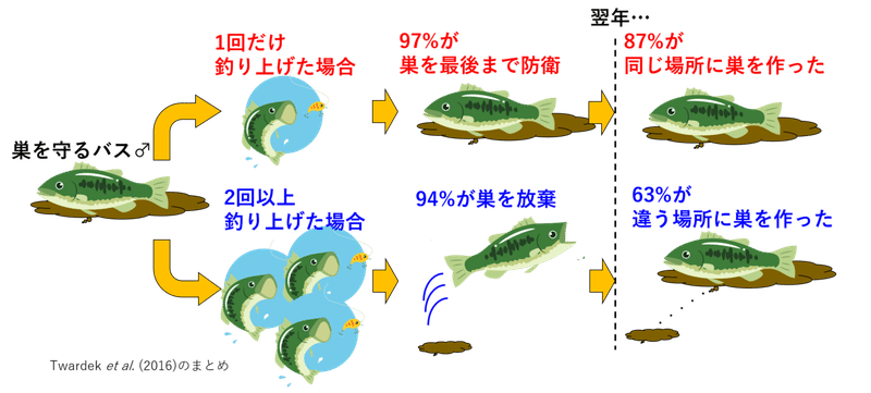 釣りの影響でバスの巣が移動する Nipon Hitode Note