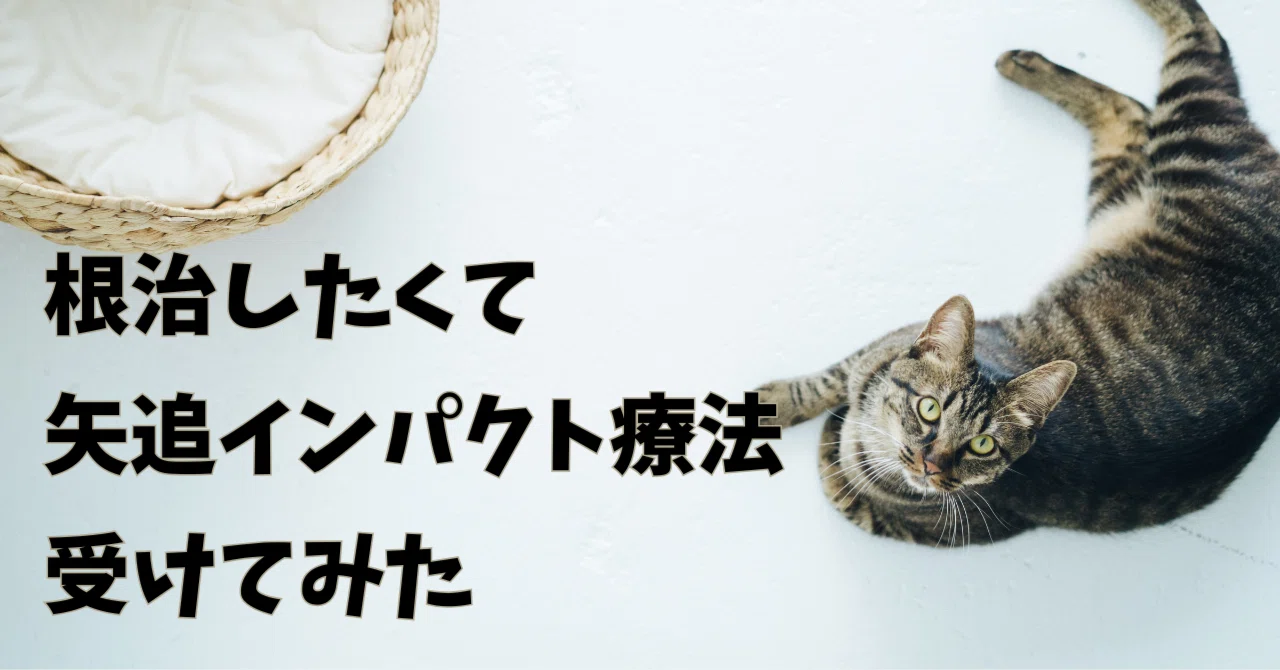 根治したくて矢追インパクト療法受けてみた|前半無料｜穂倉 瑞姫