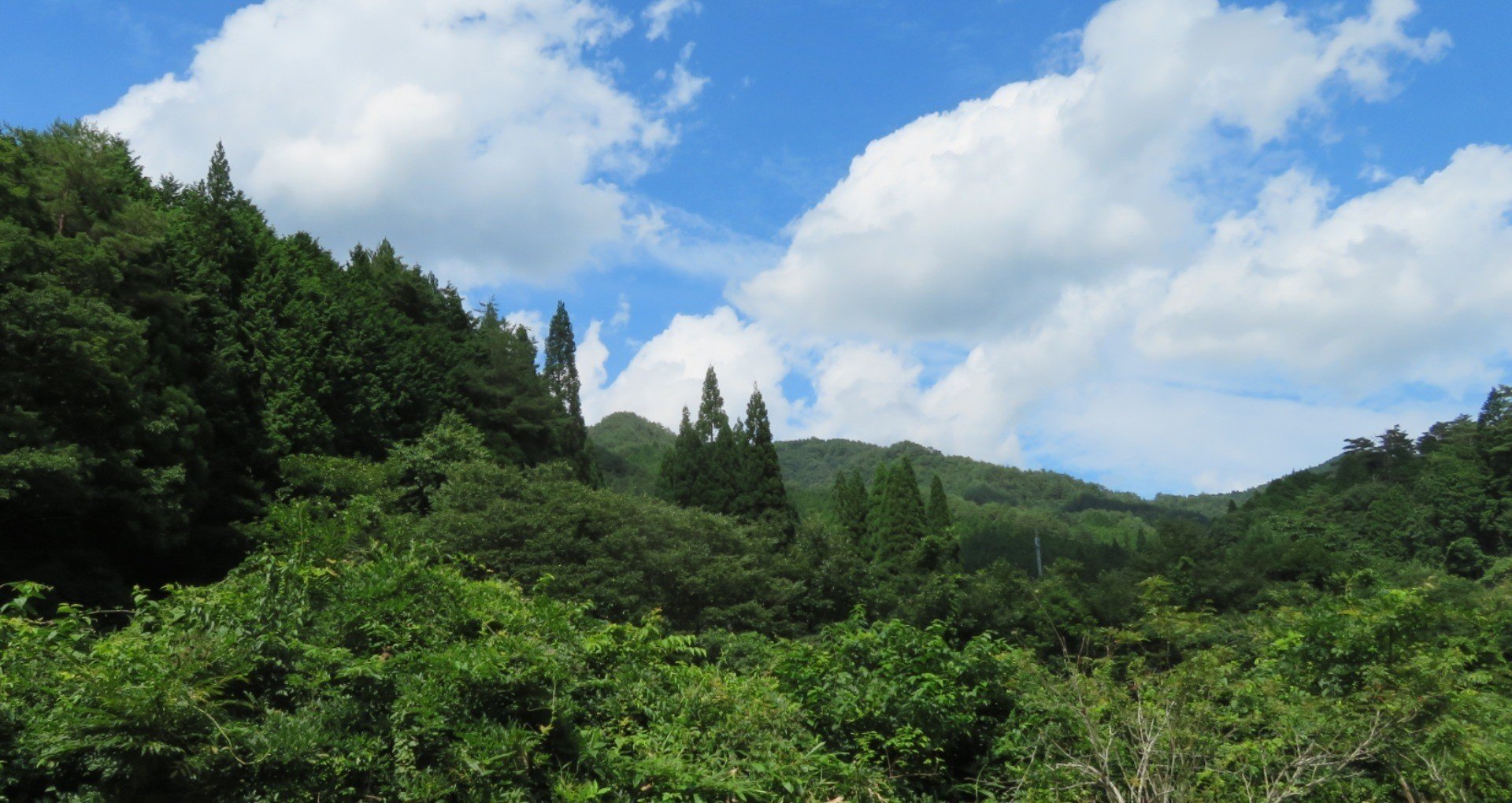 （公社）津山市観光協会｜note