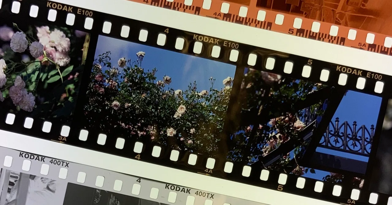 雑記】フィルムはいいぞ｜mak.takano