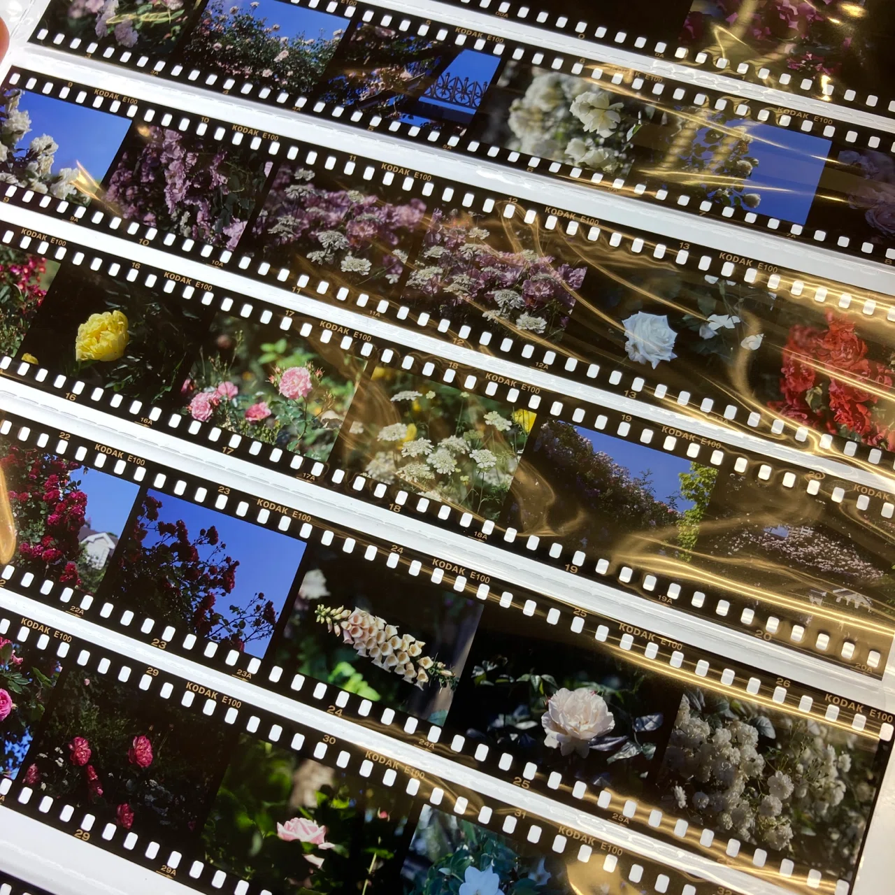雑記】フィルムはいいぞ｜mak.takano