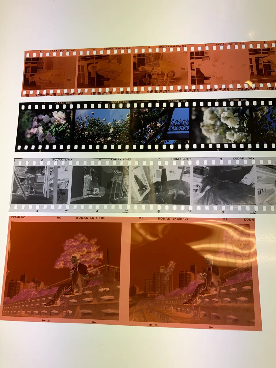 雑記】フィルムはいいぞ｜mak.takano