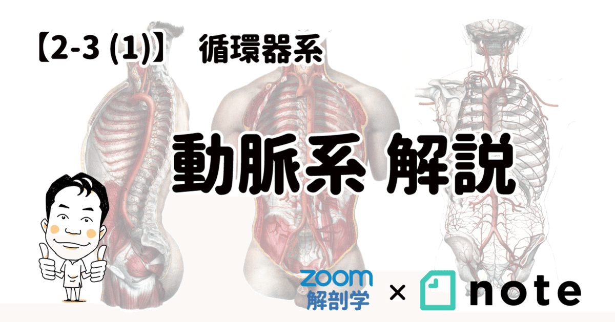 循環器診療に活かす心臓血管解剖学 メジカルビュー社｜循環器内科｜循環器診療に活かす 心臓血管