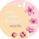 Wild Cherry Blossom Hostel/ワイルド チェリー ブロッサム