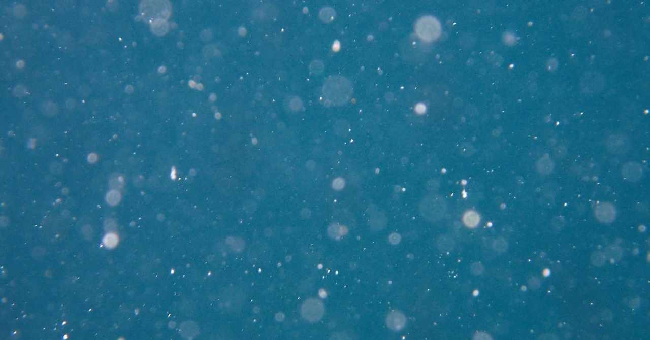 高槻慧 の新着タグ記事一覧 Note つくる つながる とどける 高槻慧 の新着タグ記事一覧 Note つくる つながる とどける