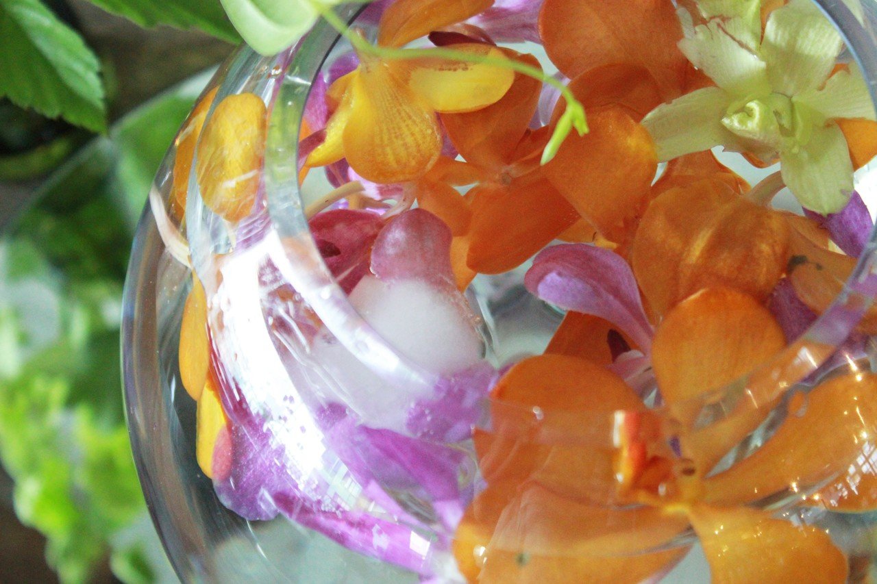 Mokara モカラ リゾート気分を味わえる花 フラワースクール Hana Kichi Note Mokara モカラ リゾート気分を味わえる花 フラワースクール Hana Kichi Note