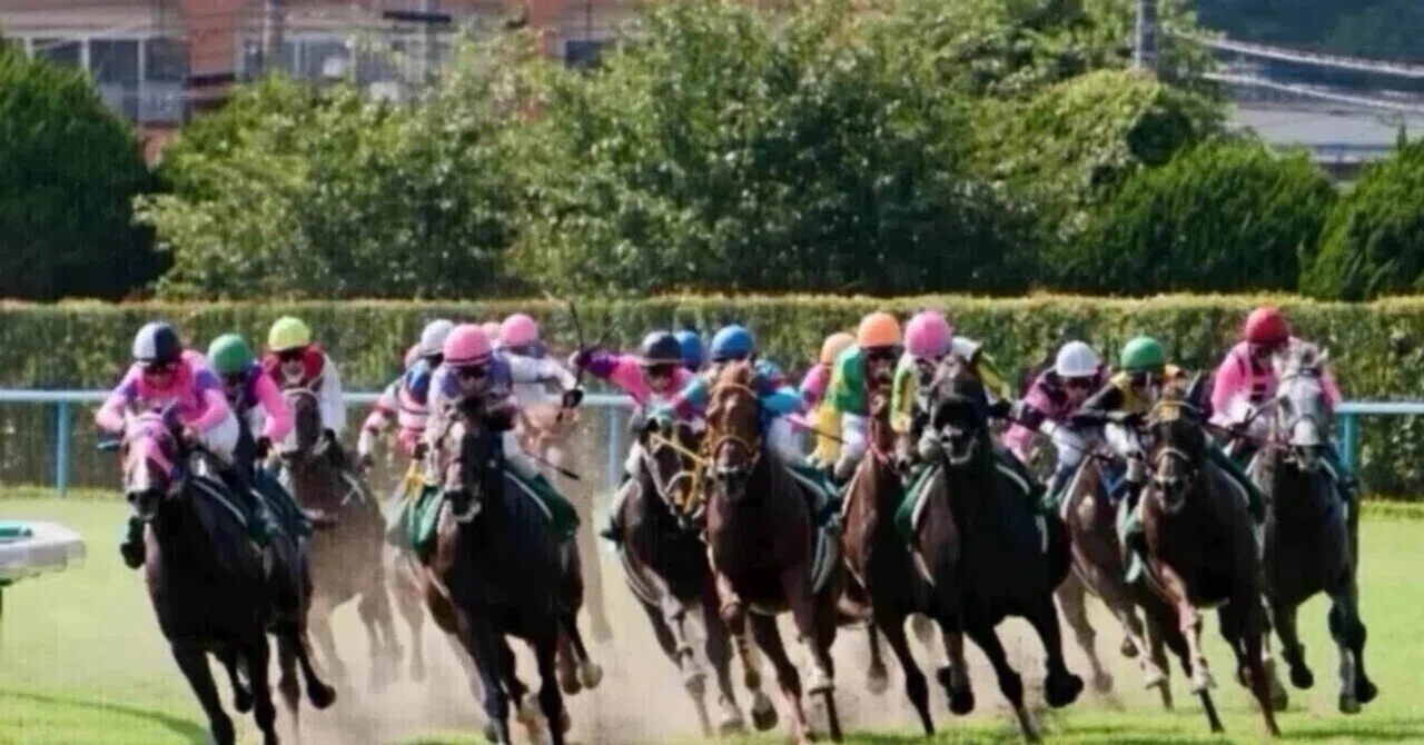 10/4京都競馬11R 単勝一本勝負｜馬券狂じじい