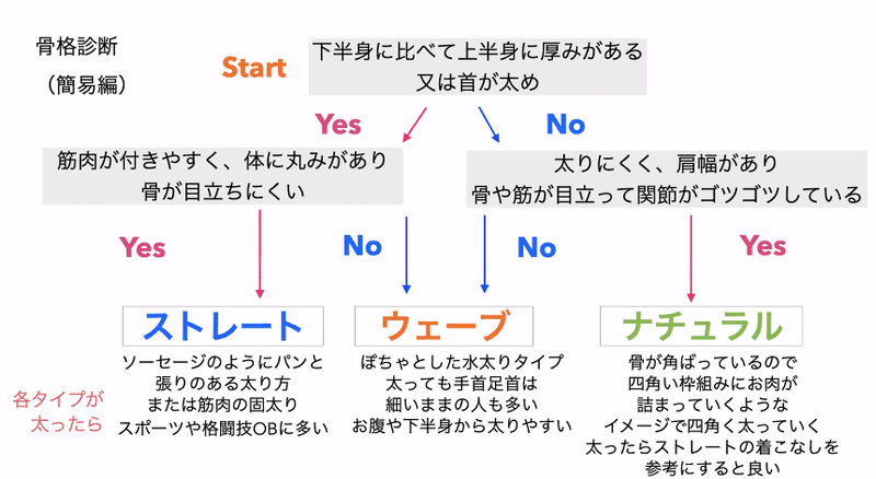 骨格診断