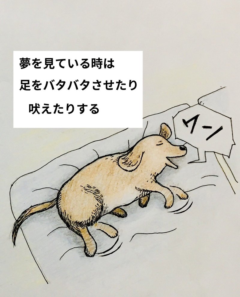 うちの犬の1コマ イラスト わそらり Note うちの犬の1コマ イラスト わそらり Note