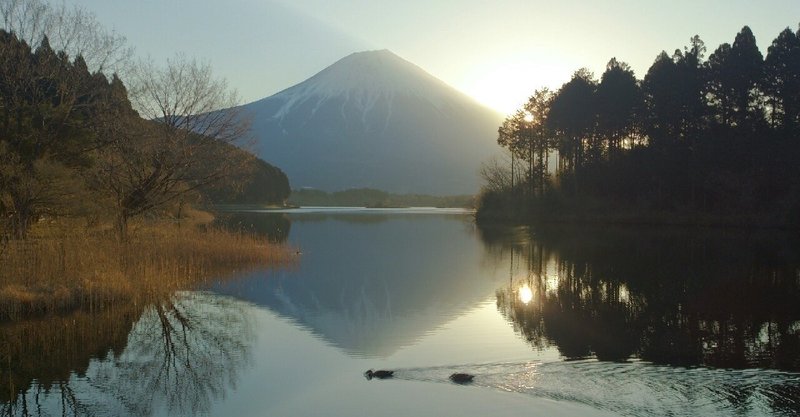 富士山を撮る為のオススメスポット！