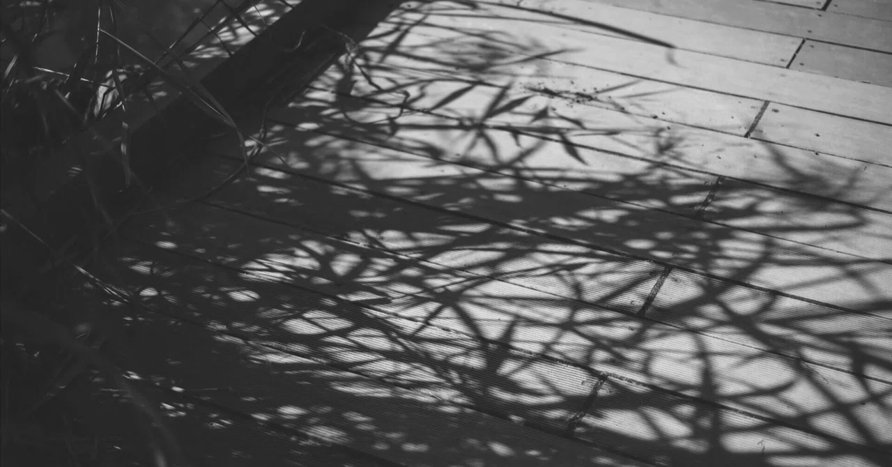 Between Light and Shadow｜エイチ氏の日常