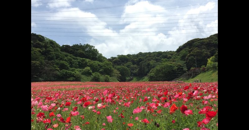 一人で 立ち上がり 生きていく方法がわからない カネヤン Note