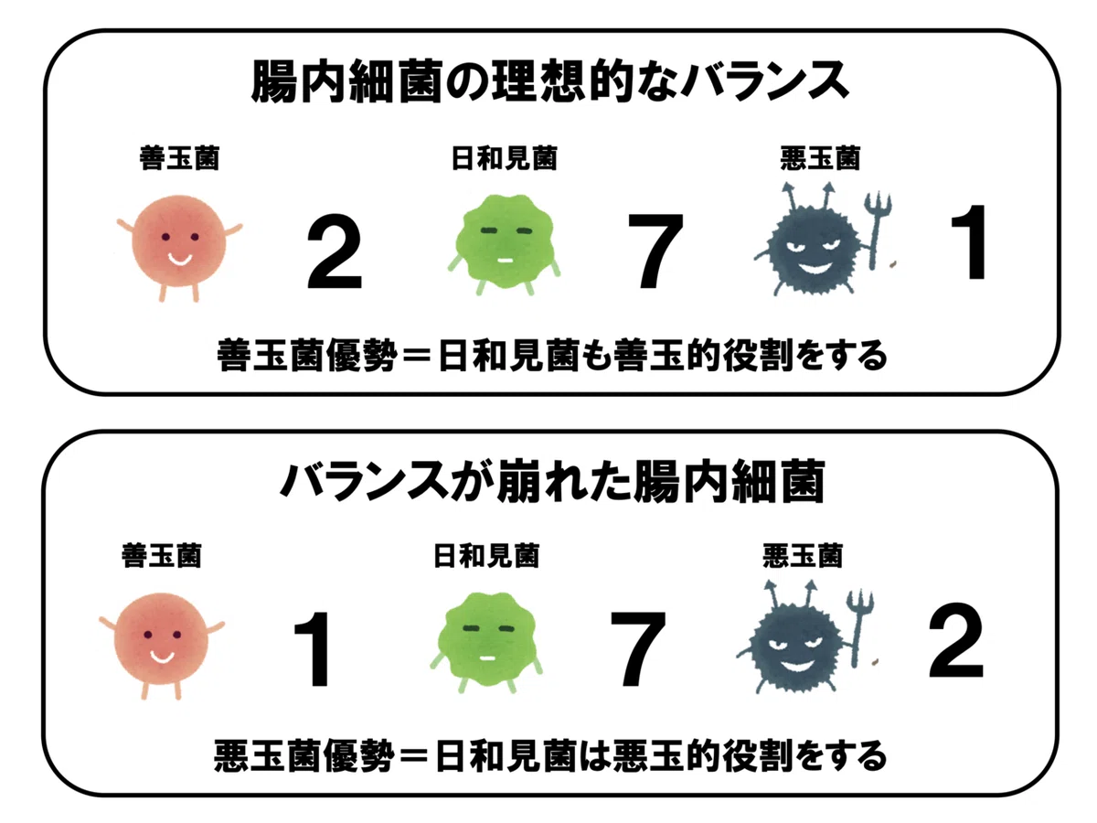 腸内さいきん