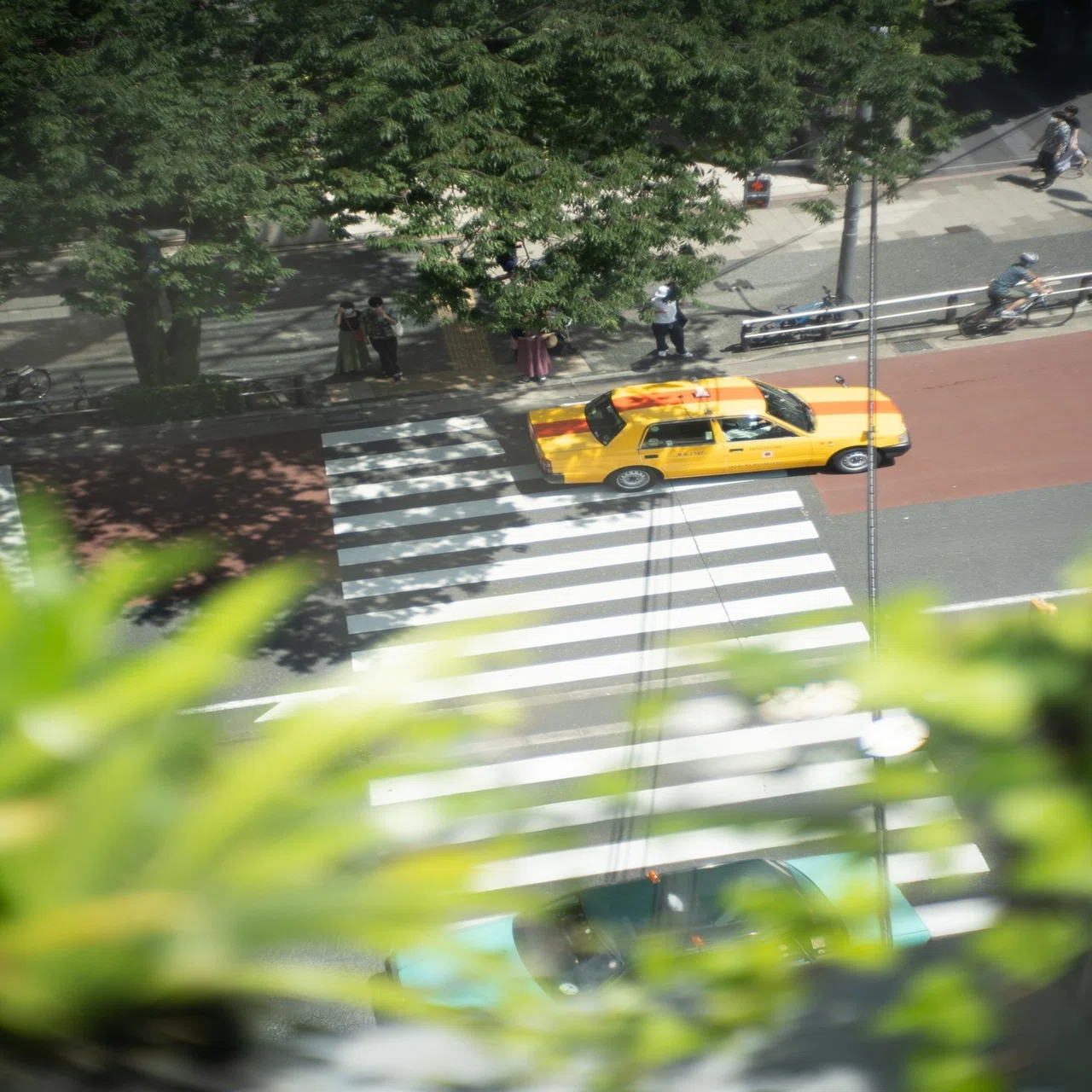 Jupiter-3 50mm f1.5 【作例多数】｜PS2U