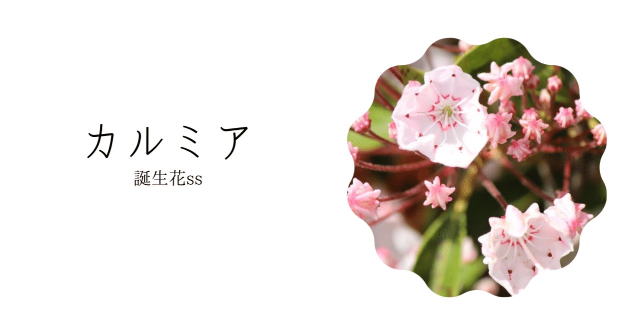 画像 カルミア 花 イラスト 誕生 日 ライン 友達 画像 カルミア 花 イラスト 誕生 日 ライン 友達