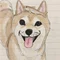 真まる