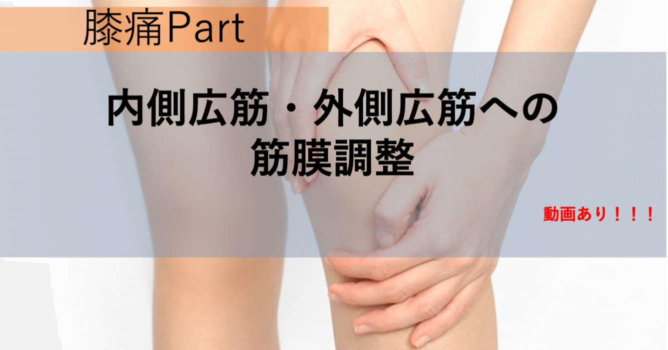 内側広筋 外側広筋 斜頭 への筋膜調整 筋膜とウィメンズヘルス Sachi Note