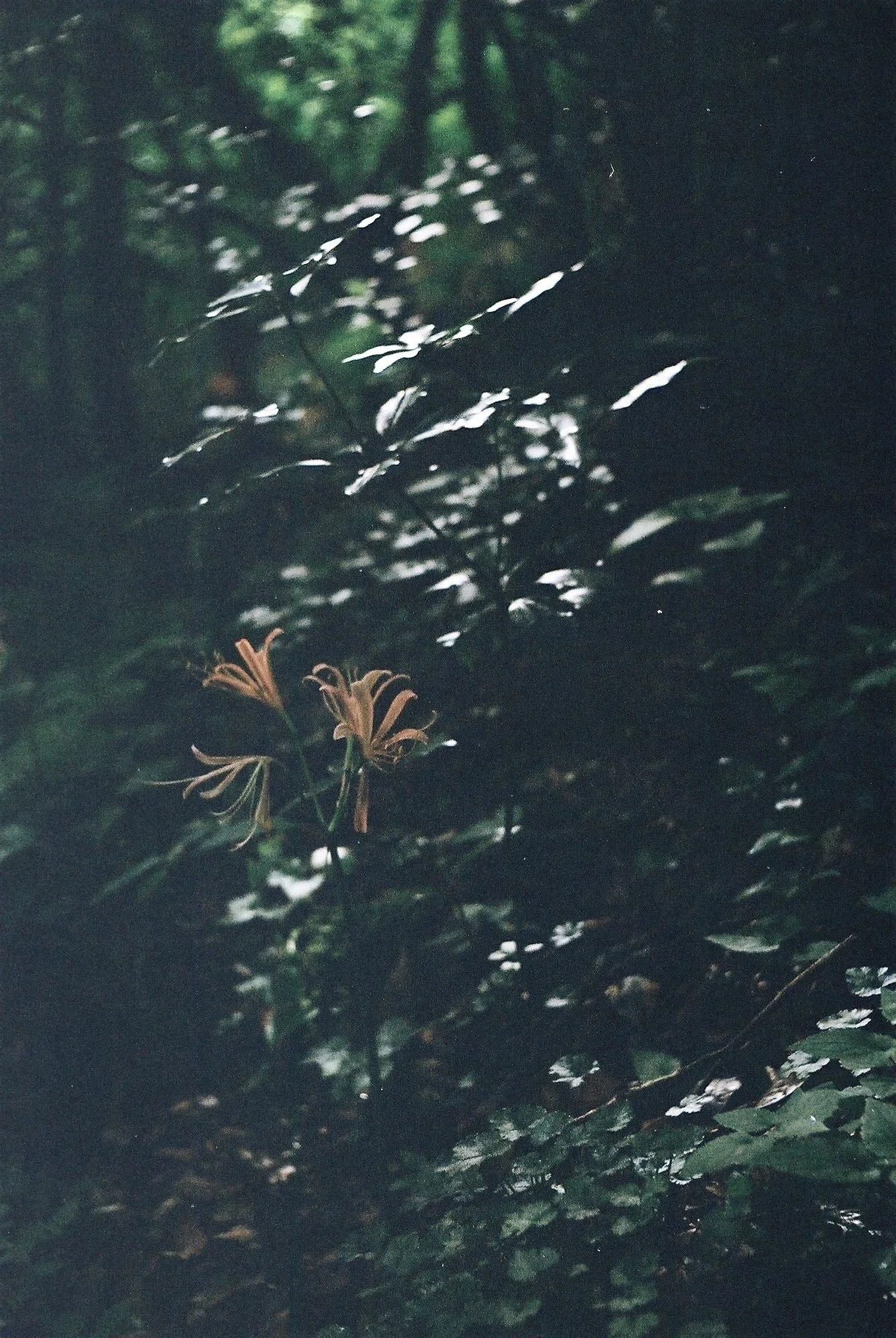 画像11